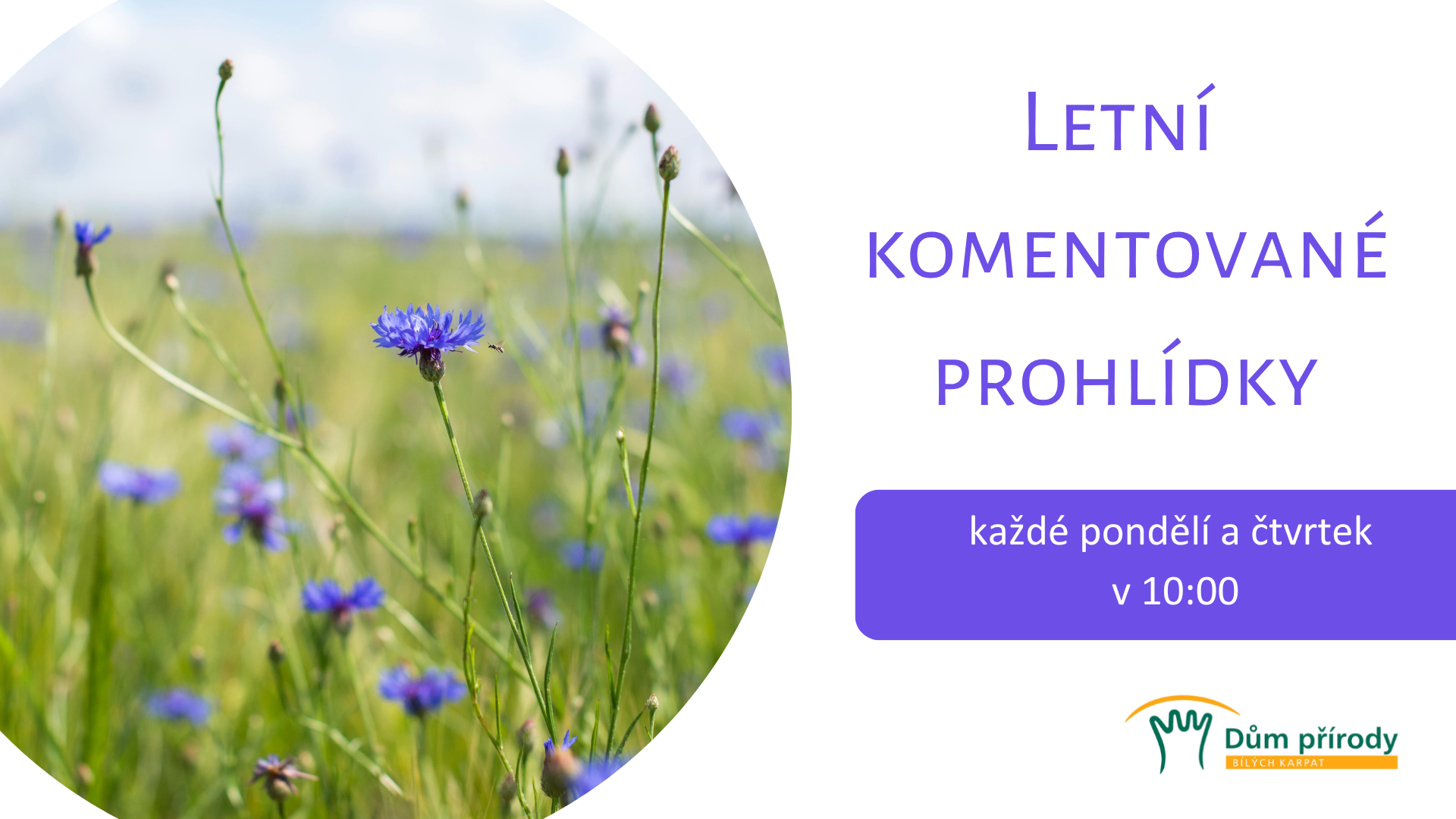 Letní komentované prohlídky