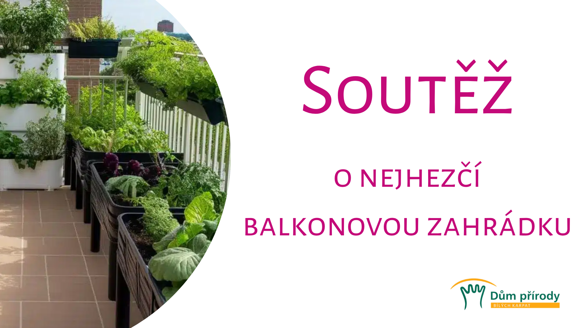 Soutěž o nejhezčí balkonovou zahrádku